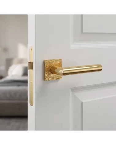 Poignée de Porte Or Raffinée et Scintillante - Modèle 4002-T1