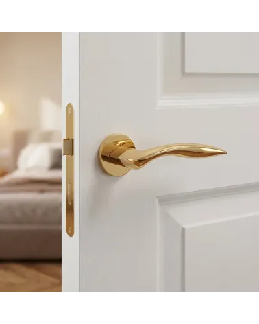 Poignée de Porte Or Poli pour un cachet luxueux - Modèle ROBINE