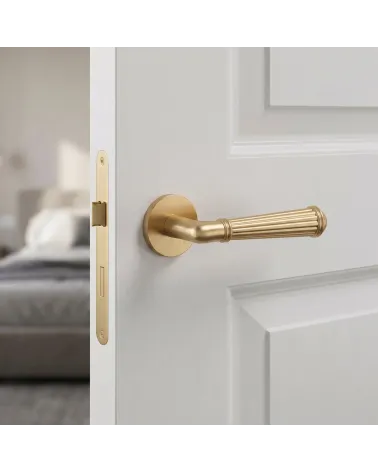 Poignée de porte ARIDA or mat | Millapoignées
