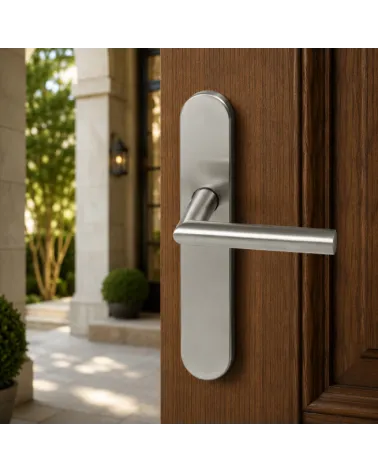 Poignée de porte sur plaque Altesse Inox 316 – Haute résistance milieux extérieurs - modèle Altesse