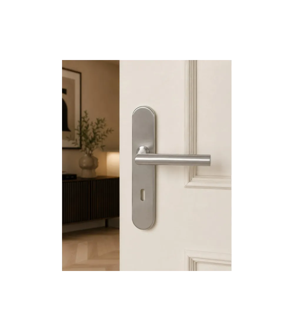 Poignée de porte sur plaque 165 mm finition inox brossé – modèle Altesse