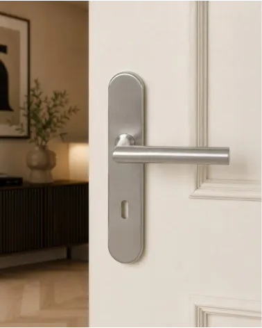 Poignée de porte sur plaque 165 mm finition inox brossé – modèle Altesse