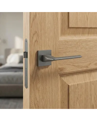 Poignée de Porte Moderne à l’allure tendance et chic - Modèle EVER