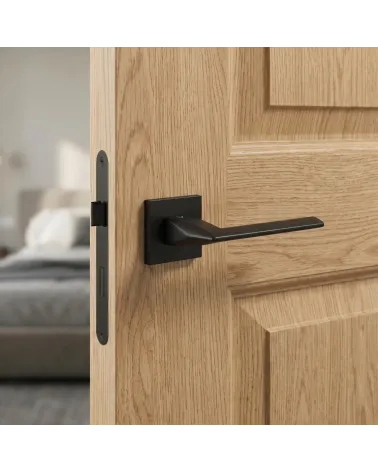 Poignée de Porte Noire pour une allure sophistiquée - Modèle EVER