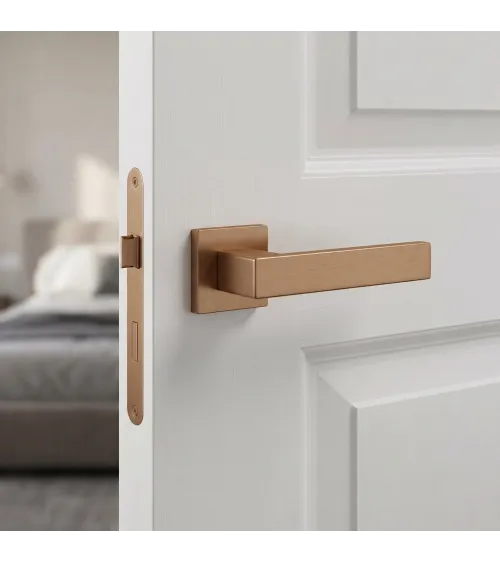 Poignée de porte en zamak PINA poignée design