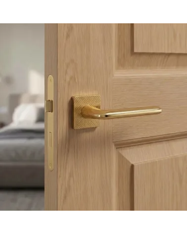 Poignée de Porte en Laiton pour une déco chic - Modèle TUPAI 4165-T2