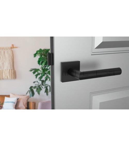 Poignée de porte noire ARABIS poignée design