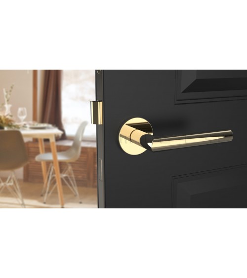 Poignée de porte couleur or poli ARABIS poignée design