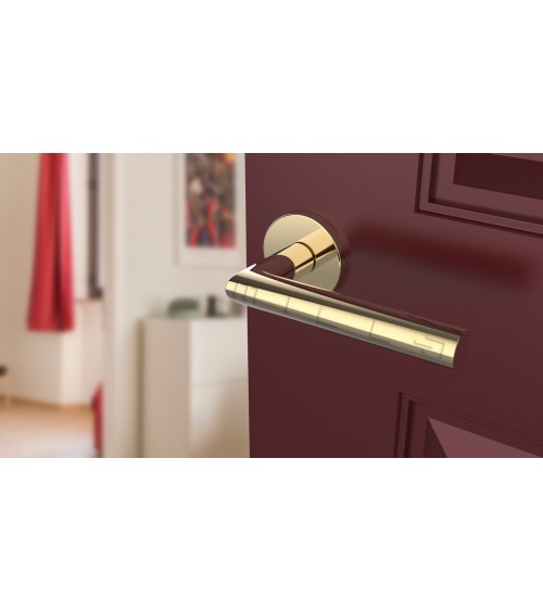 Poignée de porte couleur or poli ARABIS poignée design