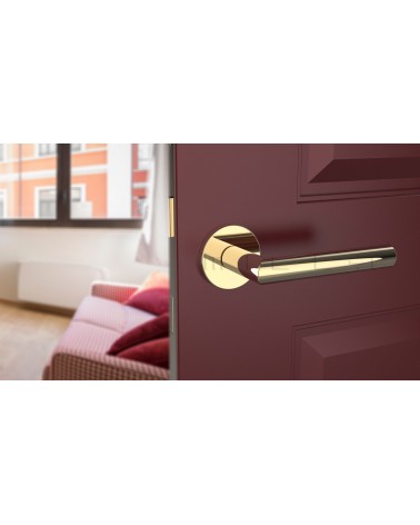 Poignée de porte couleur or poli ARABIS poignée design vue inclinée montée sur une porte