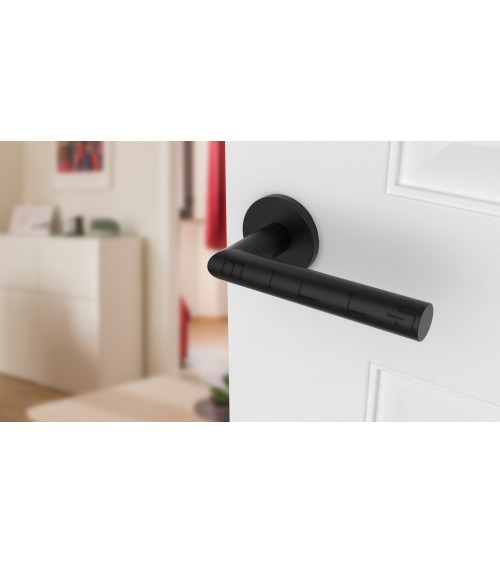 Poignée de porte couleur noire ARABIS ronde poignée design