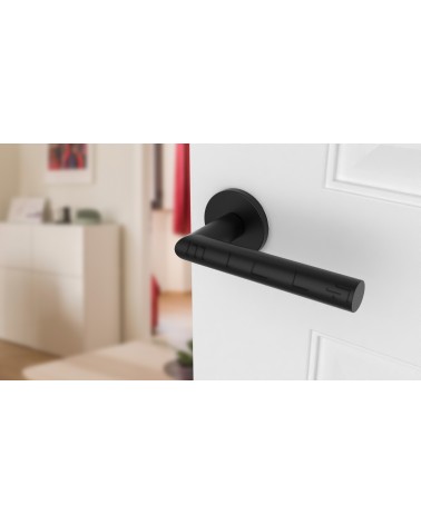 Poignée de porte couleur noire ARABIS poignée design vue de haut inclinée montée sur une porte