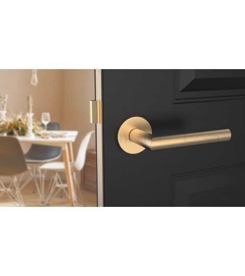 Poignée de porte couleur or mate ARABIS poignée design