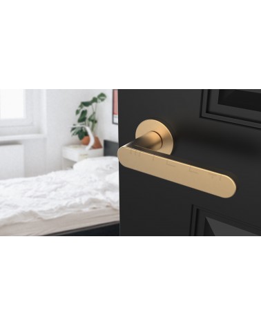 Poignée de porte dorée mate ALORA poignée design vue inclinée montée sur une porte