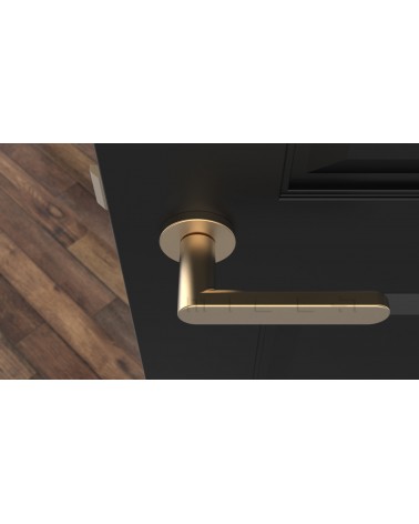 Poignée de porte dorée mate ALORA poignée design vue de haut montée sur une porte