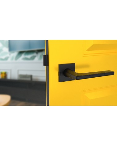 Poignée de porte noire SETIA poignée design vue de face montée sur une porte