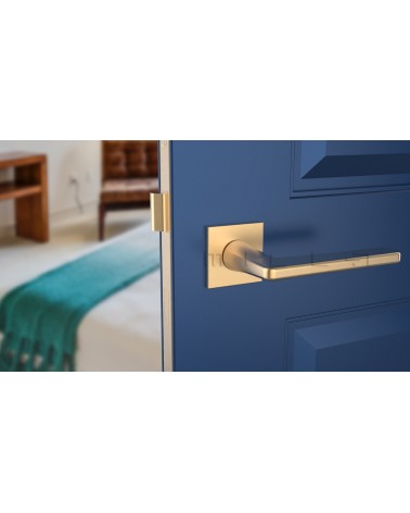 Poignée de porte SETIA poignée design couleur 5 vue de face montée sur une porte