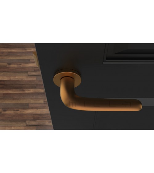 Poignée de porte Cuivre AZALIA poignée design