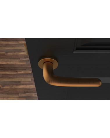 Poignée de porte Cuivre AZALIA poignée design vue de haut montée sur une porte