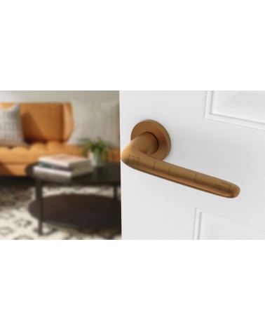 Poignée de porte Cuivre AZALIA poignée design vue inclinée montée sur une porte