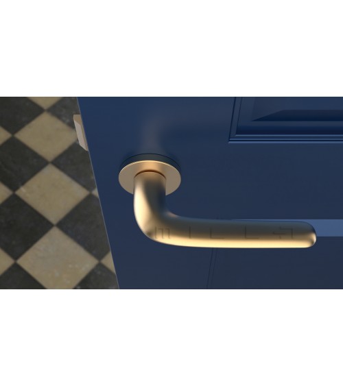 Poignée de porte Or mat AZALIA poignée design