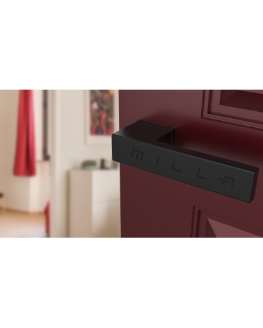 Poignée de porte noire CARLINA poignée design vue de haut inclinée montée sur une porte