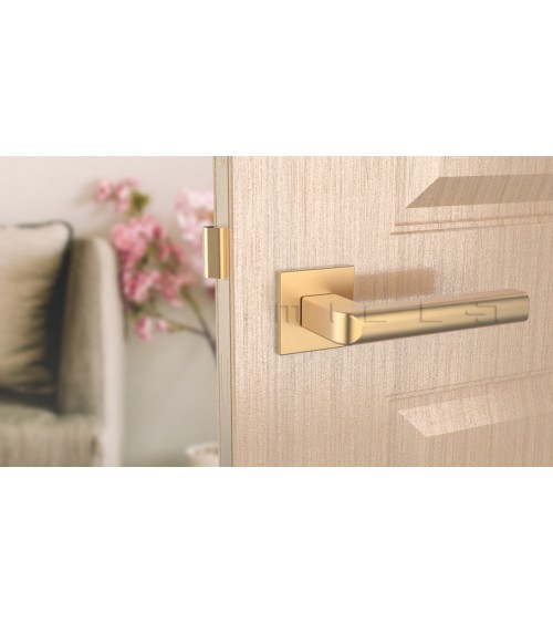 Poignée de porte SALICE quincaillerie design couleur 3