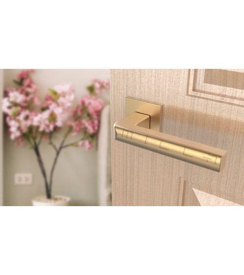 Poignée de porte SALICE quincaillerie design couleur 3