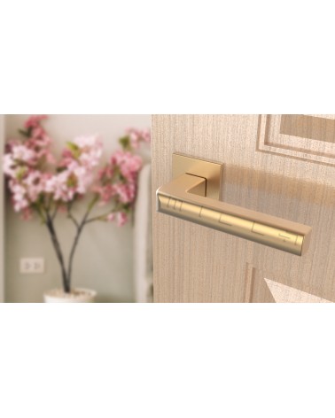 Poignée de porte SALICE quincaillerie design couleur 3 vue inclinée montée sur une porte