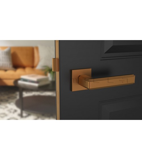 Poignée de porte moderne RAFLESIA poignée design