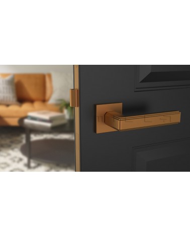 Poignée de porte moderne RAFLESIA poignée design de couleur 1 montée sur une porte bleue foncée