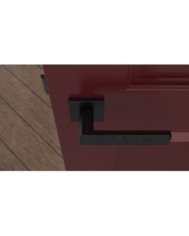 Poignée de porte Noire RAFLESIA poignée design vue de haut montée sur une porte