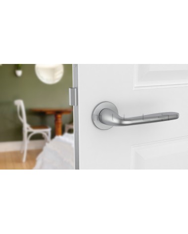 Poignée de porte chrome satiné HIACYNTA poignée design vue de face montée sur une porte
