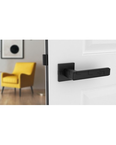 Poignée de porte Noire RAFLESIA poignée design montée sur une porte