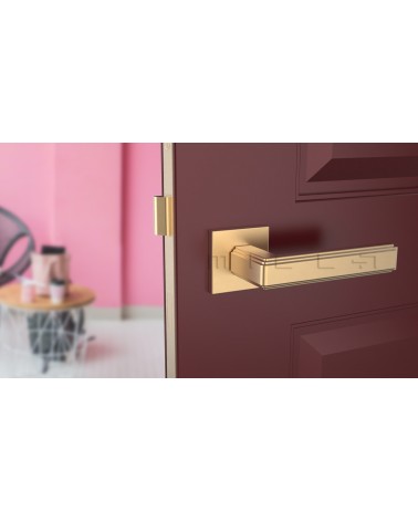 Poignée de porte RAFLESIA poignée design couleur 1 montée sur une porte