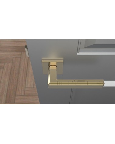 Poignée de porte RAFLESIA poignée design couleur 5 vue de haut montée sur une porte