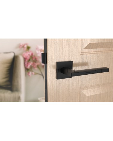 Poignée de porte noire PYROLA quincaillerie design vue de face montée sur une porte
