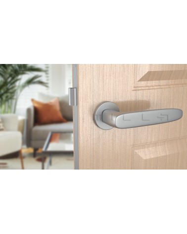 Poignée de porte chrome satiné ROSA poignée design vue de face montée sur une porte