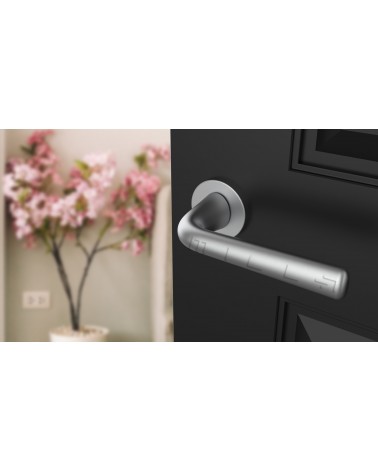 Poignée de porte Chrome satiné TULIPA porte intérieure design vue inclinée montée sur une porte