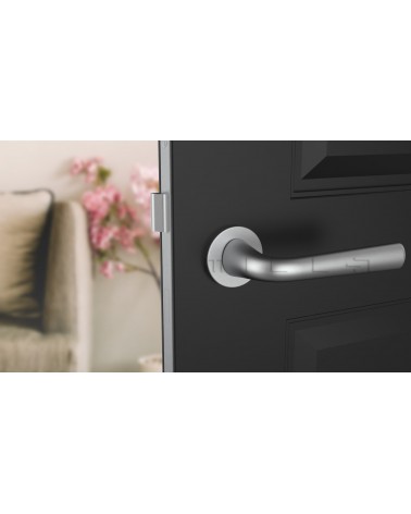 Poignée de porte Chrome satiné TULIPA porte intérieure design vue de face montée sur une porte