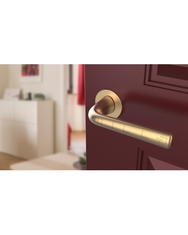 Poignée de porte Or mate TULIPA porte intérieure design  vue inclinée montée sur une porte