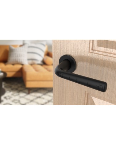 Poignée de porte Noire TULIPA porte intérieure design vue inclinée montée sur une porte