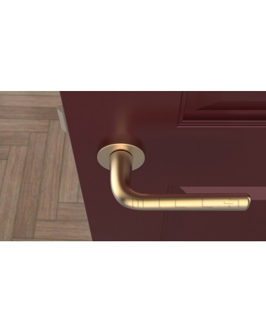 Poignée de porte Or mate TULIPA porte intérieure design  vue de haut montée sur une porte