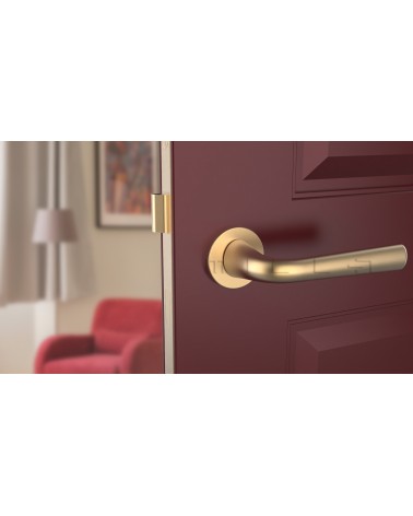Poignée de porte Or mate TULIPA porte intérieure design  vue de face montée sur une porte