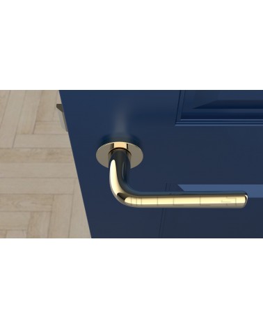 Poignée de porte Or poli TULIPA porte intérieure design vue de haut montée sur une porte