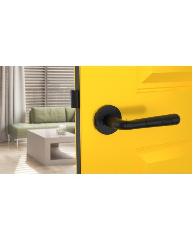 Poignée de porte noire mate IRGA  poignée design vue de face montée sur une porte