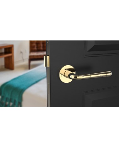 Poignée de porte Retro IRGA poignée design couleur 5 montée sur une porte légèrement entrouverte