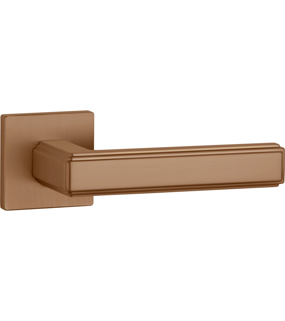 Poignée de porte moderne RAFLESIA poignée design