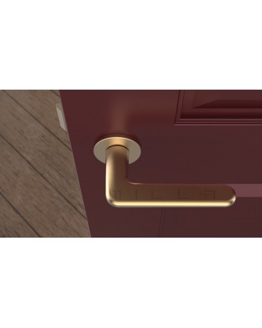 Poignée de porte dorée mat LIRA poignée design vue de haut montée sur une porte