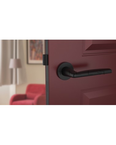 Poignée de porte noire LUNA poignée design vue de face montée sur une porte